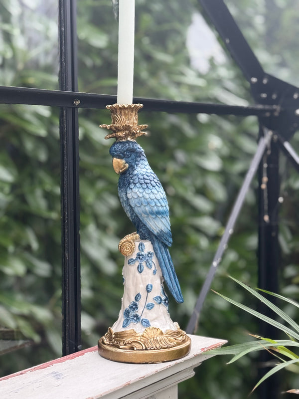 blue parrot candle holder