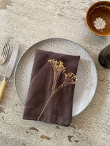 chocolate brown linen napkins, set of 2