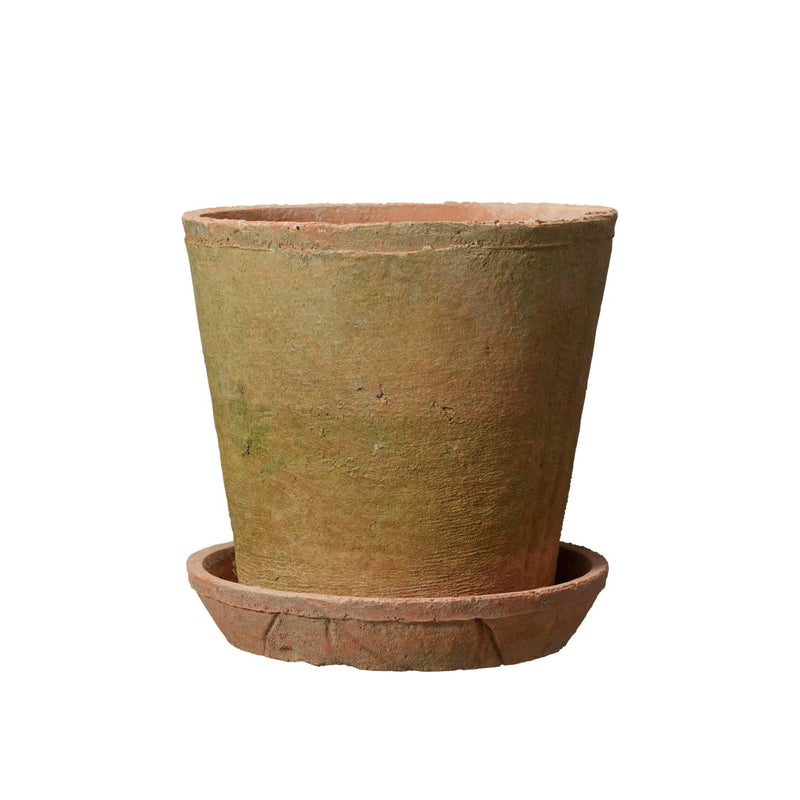 aged terracotta pot with saucer