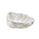 cement shell bowl